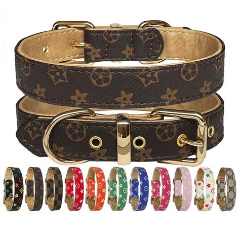 luxury dog collar and leash.